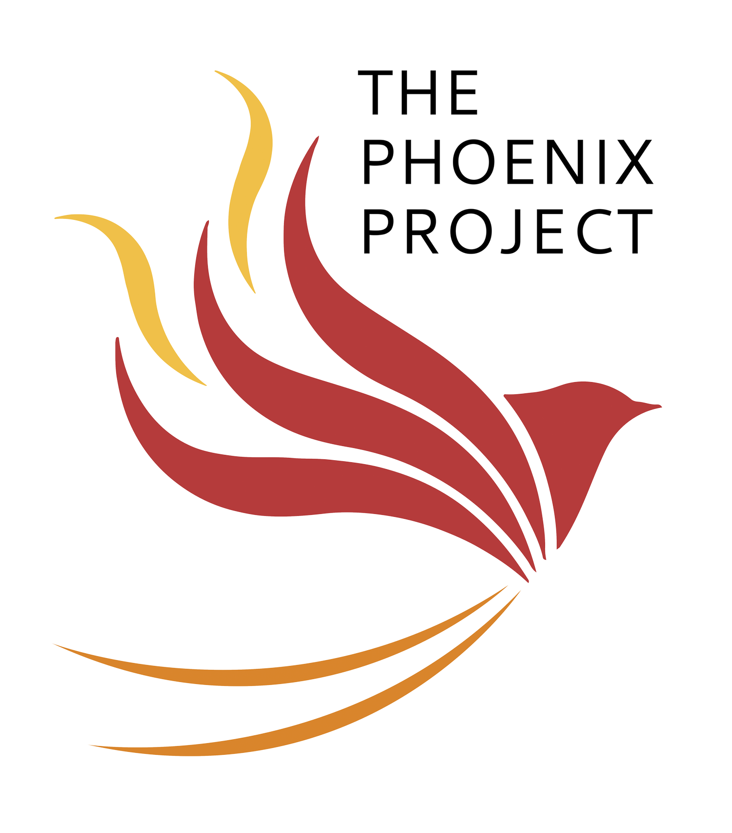 Phoenix Project