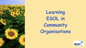 Learning ESOL in Community Organisations preview thumbnail